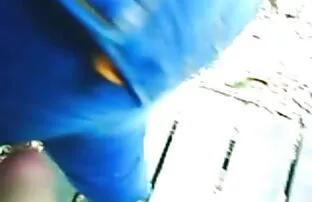XXX كارولينا أبريل يرجى سكسي مسلسلات تركي رجلين