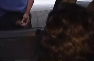 XXX الدهون الأسود على كس ابيض سكسي ممثلات تركي