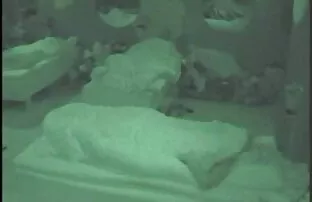 XXX التمسيد الديك في سكسي تركي سكسي تركي الغابة
